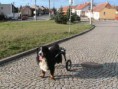 /album/der-galerie/suu1ya3ldrrfdqb9-03wblp8biotl6sts4wylvlczlkppf6yg2czvelrjnvuxtbny-k88zu-jpg/